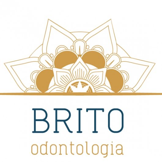 Dra. Suzi De Morais Brito