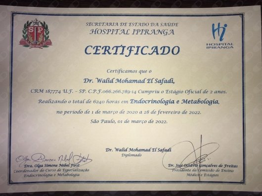 Dr. Walid Mohamad El Safadi