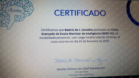 Beatriz J. Carvalho