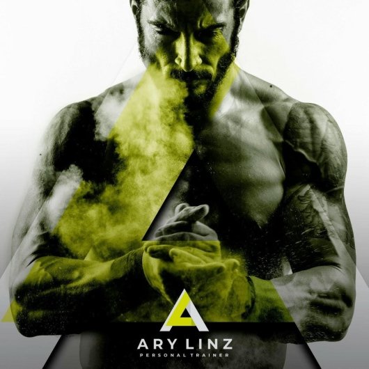 Ary Linz