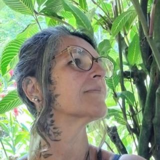 Prof. Rosana Schmidt