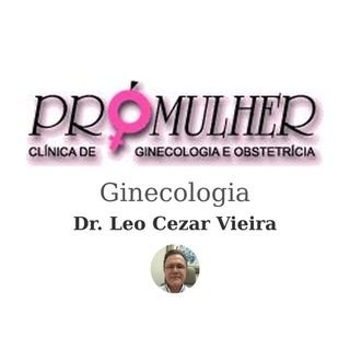 Dr. Leo Cezar Vieira