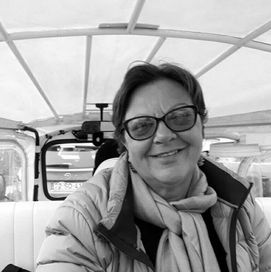 Sueli Aparecida Bonafé De Felice