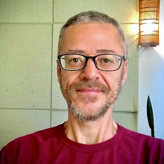 Paulo Henrique Gomes Da Silva