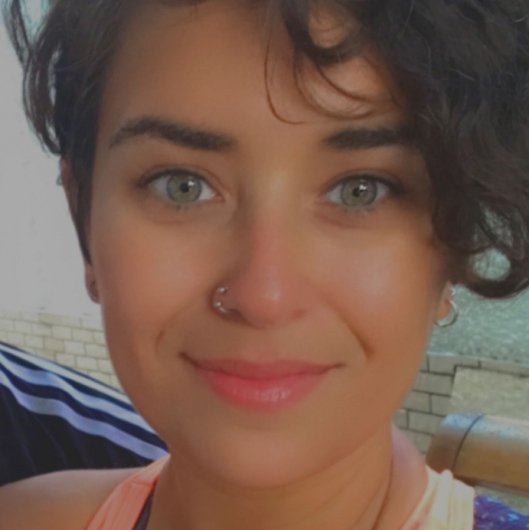 Ana Luisa Amaral Alves