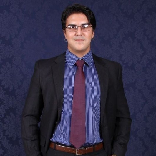Fernando H. M. Silva