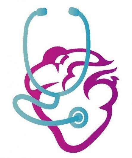 Dr. Jean A. Hammes