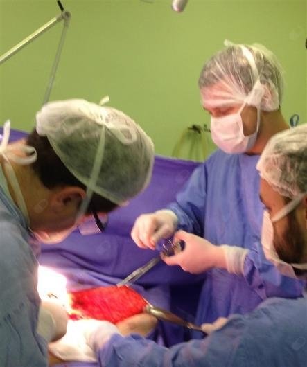 Dr. Raul Jablolnski Junior