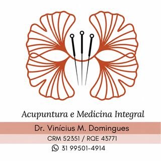 Dr. Vinícius de Moura Domingues