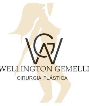 Wellington Gemelli Dos Santos
